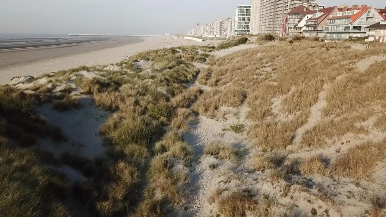 Per Sea Bed and Breakfast Koksijde Eksteriør billede